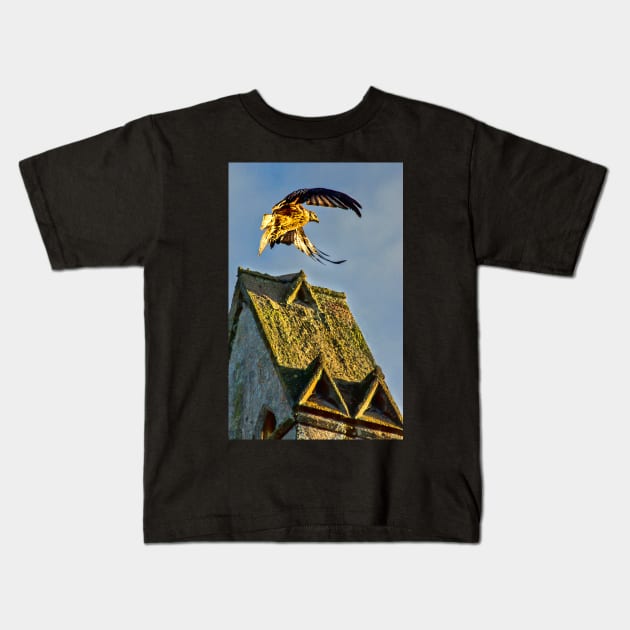 Red Kite Rising Kids T-Shirt by IanWL